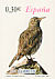 Dupont's Lark Chersophilus duponti  2007 Flora and fauna Booklet, sa