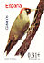 European Green Woodpecker Picus viridis  2008 Flora and fauna Booklet, sa