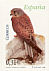 Common Kestrel Falco tinnunculus  2008 Flora and fauna Booklet, sa