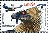 Bearded Vulture Gypaetus barbatus  2019 Europa 