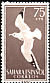 Yellow-legged Gull Larus michahellis  1959 Birds 