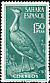 Houbara Bustard Chlamydotis undulata  1961 Birds 