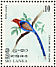 Sri Lanka Blue Magpie  Urocissa ornata