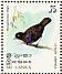 Sri Lanka Whistling Thrush Myophonus blighi  1979 Birds Sheet