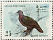 Sri Lanka Wood Pigeon  Columba torringtoniae