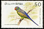 Layard's Parakeet Psittacula calthrapae  1987 Birds 