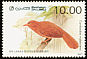 Orange-billed Babbler Argya rufescens  1987 Birds 