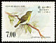 Sri Lanka White-eye Zosterops ceylonensis  1988 Birds 