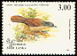 Ashy-headed Laughingthrush Argya cinereifrons  1993 Birds 