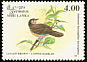 Brown-capped Babbler Pellorneum fuscocapillus  1993 Birds 