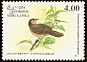 Brown-capped Babbler Pellorneum fuscocapillus