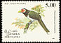 Red-faced Malkoha Phaenicophaeus pyrrhocephalus  1993 Birds 