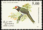 Red-faced Malkoha Phaenicophaeus pyrrhocephalus