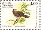 Brown-capped Babbler Pellorneum fuscocapillus  1993 Birds Sheet