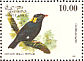 Sri Lanka Hill Myna  Gracula ptilogenys