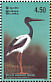 Black-necked Stork Ephippiorhynchus asiaticus  2003 Resident birds of Sri Lanka Sheet