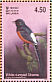 White-rumped Shama Copsychus malabaricus  2003 Resident birds of Sri Lanka Sheet