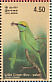 Asian Green Bee-eater  Merops orientalis