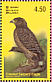Crested Serpent Eagle Spilornis cheela  2003 Resident birds of Sri Lanka Sheet
