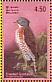 Crested Goshawk Accipiter trivirgatus  2003 Resident birds of Sri Lanka Sheet