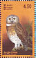 Jungle Owlet Glaucidium radiatum  2003 Resident birds of Sri Lanka Sheet
