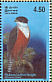 Rufous-bellied Eagle Lophotriorchis kienerii  2003 Resident birds of Sri Lanka Sheet