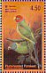 Plum-headed Parakeet  Psittacula cyanocephala