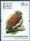 Chestnut-backed Owlet Glaucidium castanotum