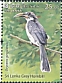 Sri Lanka Grey Hornbill Ocyceros gingalensis  2021 Endemic birds of Sri Lanka 