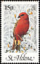 Red Fody Foudia madagascariensis  1983 Birds 