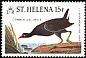 Common Gallinule Gallinula galeata  1985 Audubon 4v set