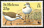 St. Helena Plover Anarhynchus sanctaehelenae  1993 Endangered species 