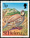 Chukar Partridge Alectoris chukar  1993 Birds 