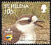 St. Helena Plover Anarhynchus sanctaehelenae  2002 Birdlife International p 14Â¼x14