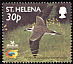 St. Helena Plover Anarhynchus sanctaehelenae  2002 Birdlife International p 14Â¼x14