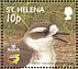 St. Helena Plover Anarhynchus sanctaehelenae  2002 BirdLife International Sheet, p 14Â½x14Â¼