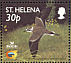 St. Helena Plover Anarhynchus sanctaehelenae  2002 BirdLife International Sheet, p 14Â½x14Â¼