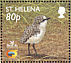 St. Helena Plover Anarhynchus sanctaehelenae  2002 BirdLife International Sheet, p 14Â½x14Â¼