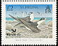 Sooty Tern Onychoprion fuscatus  2007 BirdLife International 