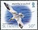 Red-billed Tropicbird Phaethon aethereus  2015 Definitives 