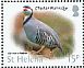 Chukar Partridge  Alectoris chukar