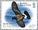 Wilson's Storm Petrel Oceanites oceanicus  2015 Definitives Sheet