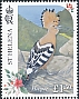 St. Helena Hoopoe Upupa antaios †