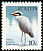 Yellow-crowned Night Heron Nyctanassa violacea  1981 Birds 
