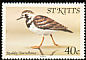 Ruddy Turnstone Arenaria interpres  1981 Birds 