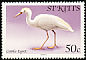 Western Cattle Egret Bubulcus ibis