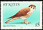 American Kestrel Falco sparverius  1981 Birds 