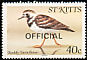 Ruddy Turnstone Arenaria interpres  1981 Overprint OFFICIAL on 1981.01 