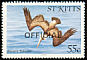 Brown Pelican Pelecanus occidentalis  1981 Overprint OFFICIAL on 1981.01 