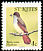 Lesser Antillean Flycatcher Myiarchus oberi  1981 Birds 